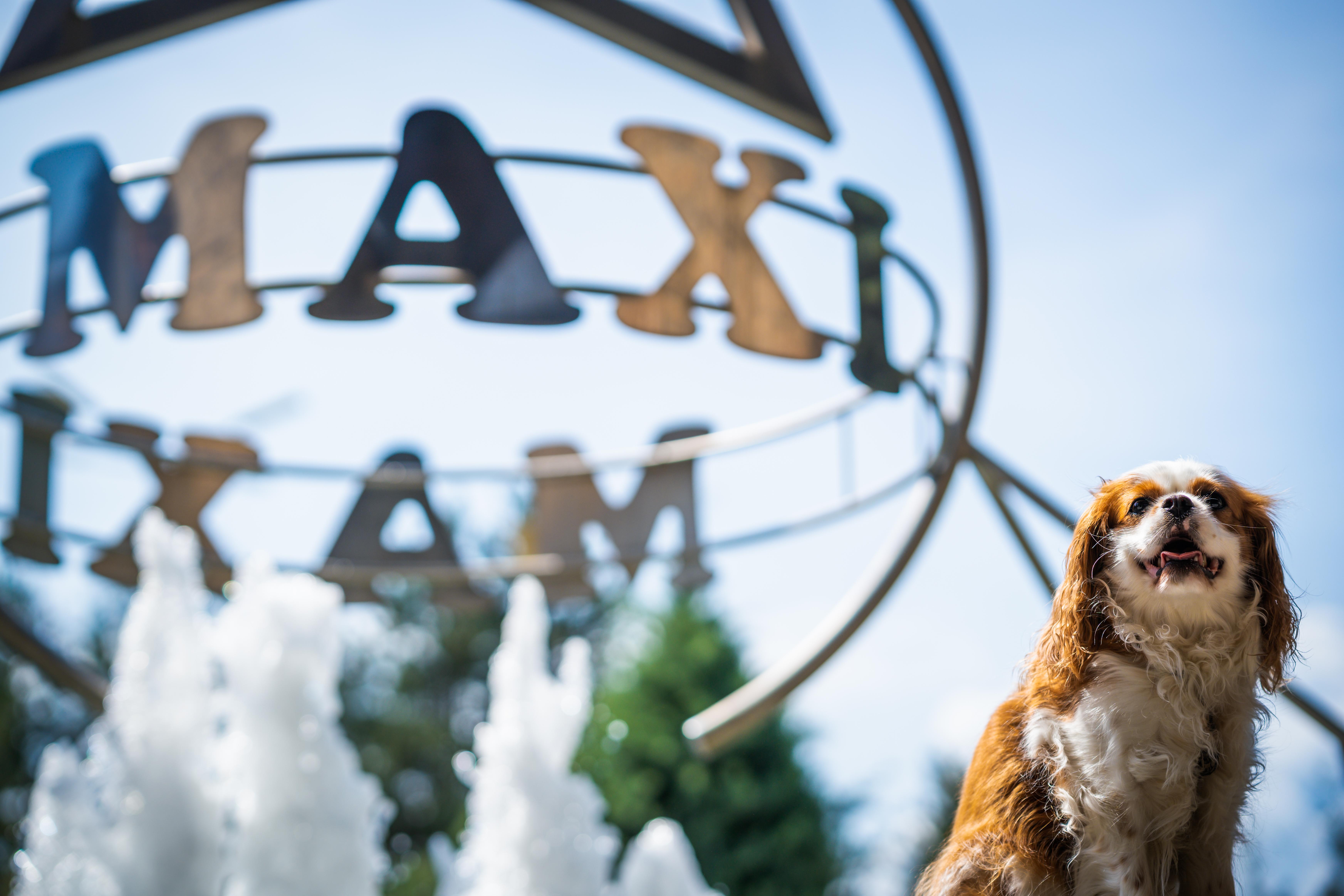 Maxi Park Hotel & Spa Velingrad Eksteriør bilde